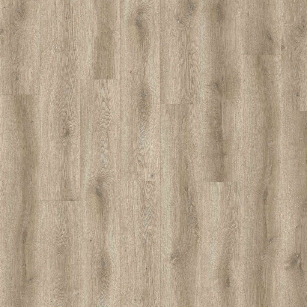 Orla - Bartlett Dryback 